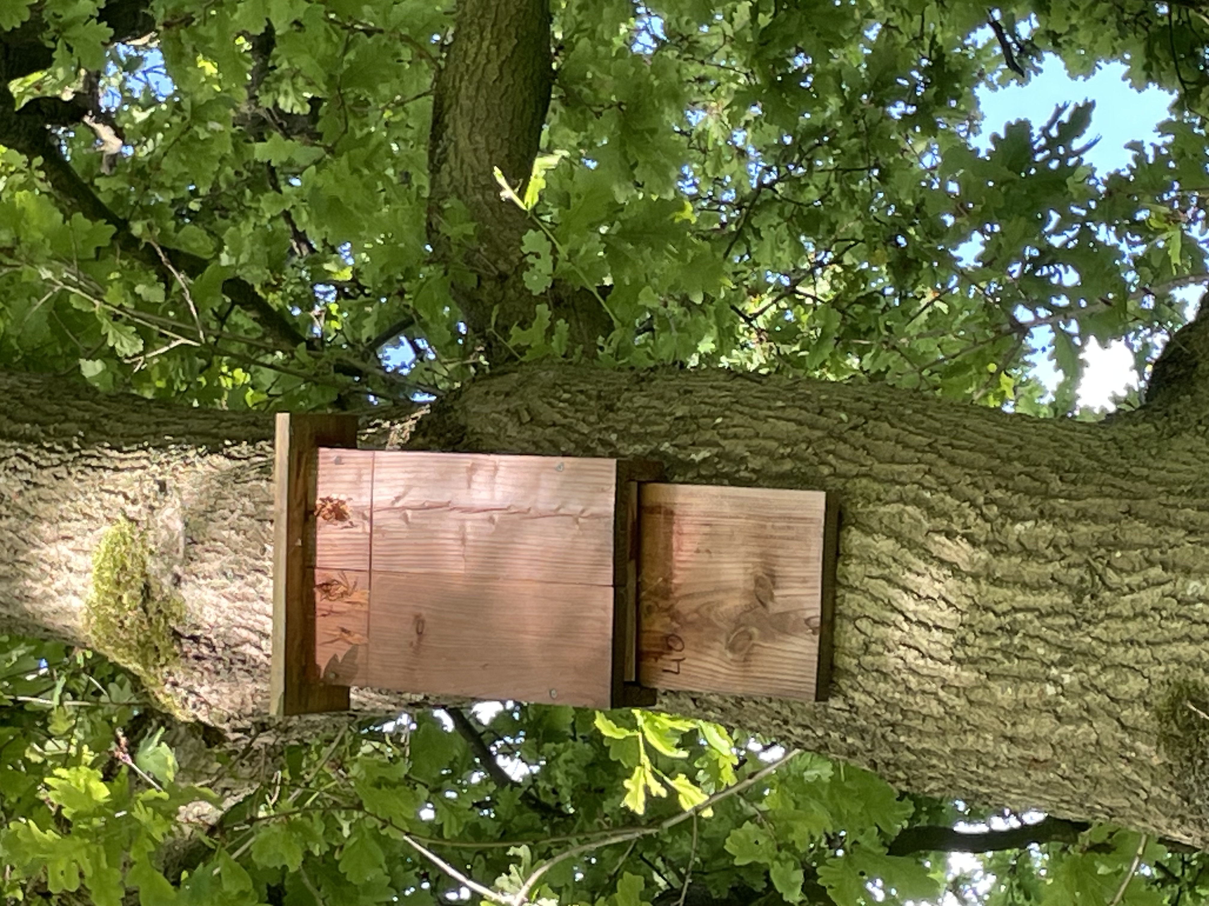 box_picture