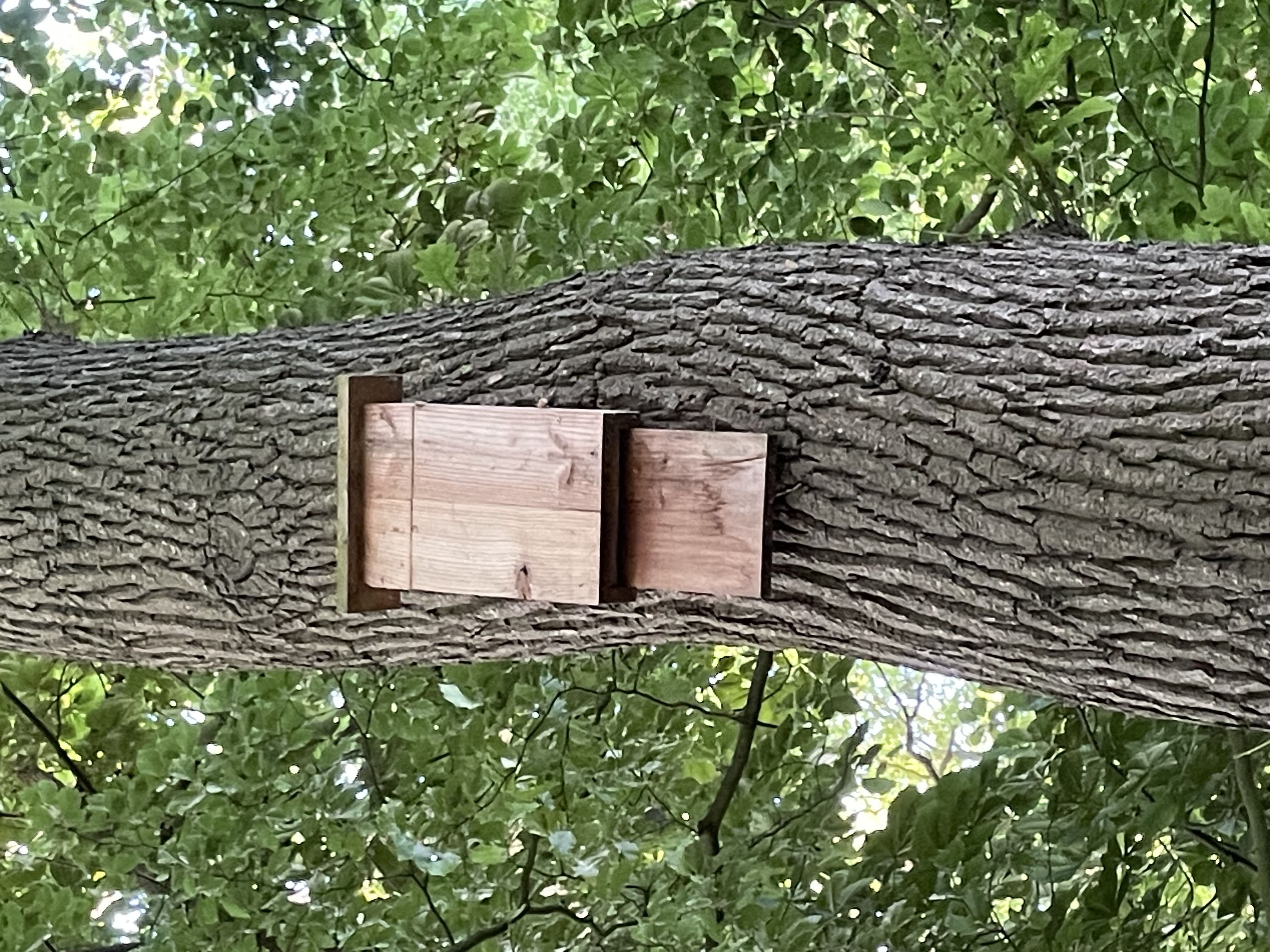 box_picture