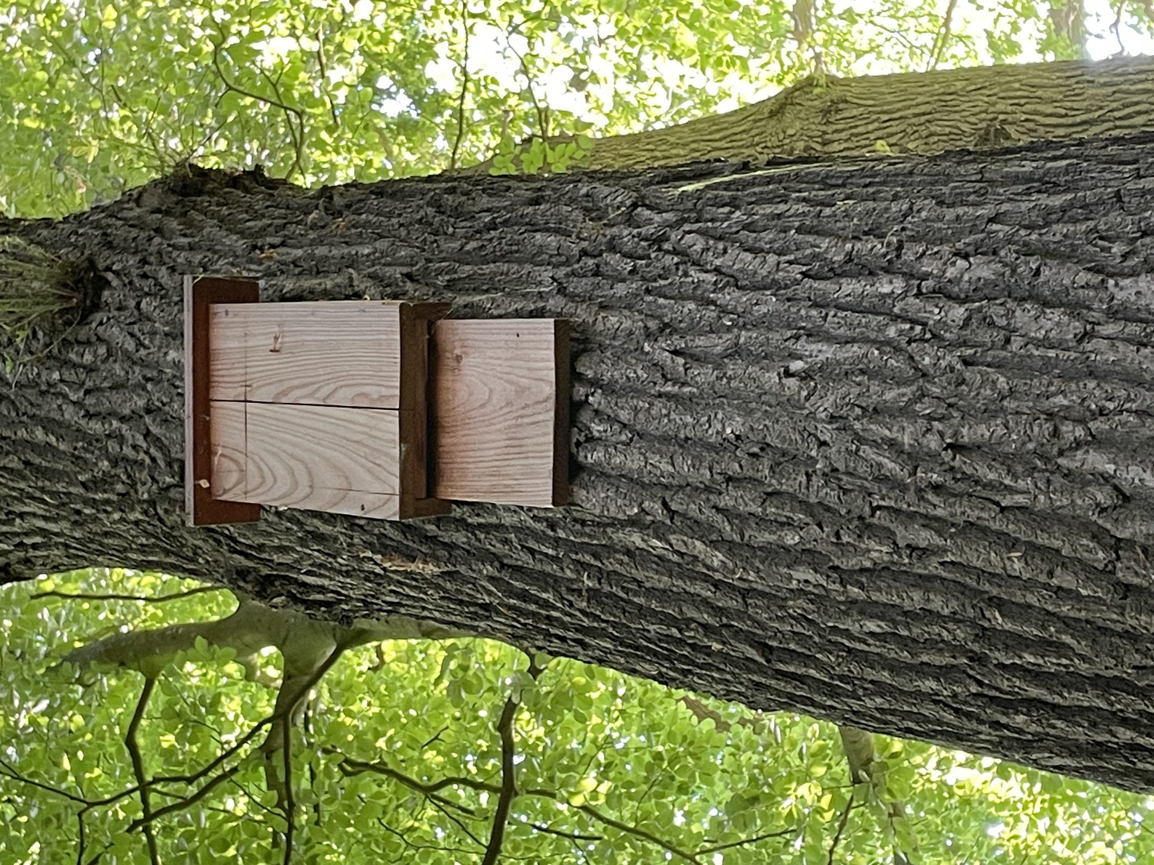 box_picture