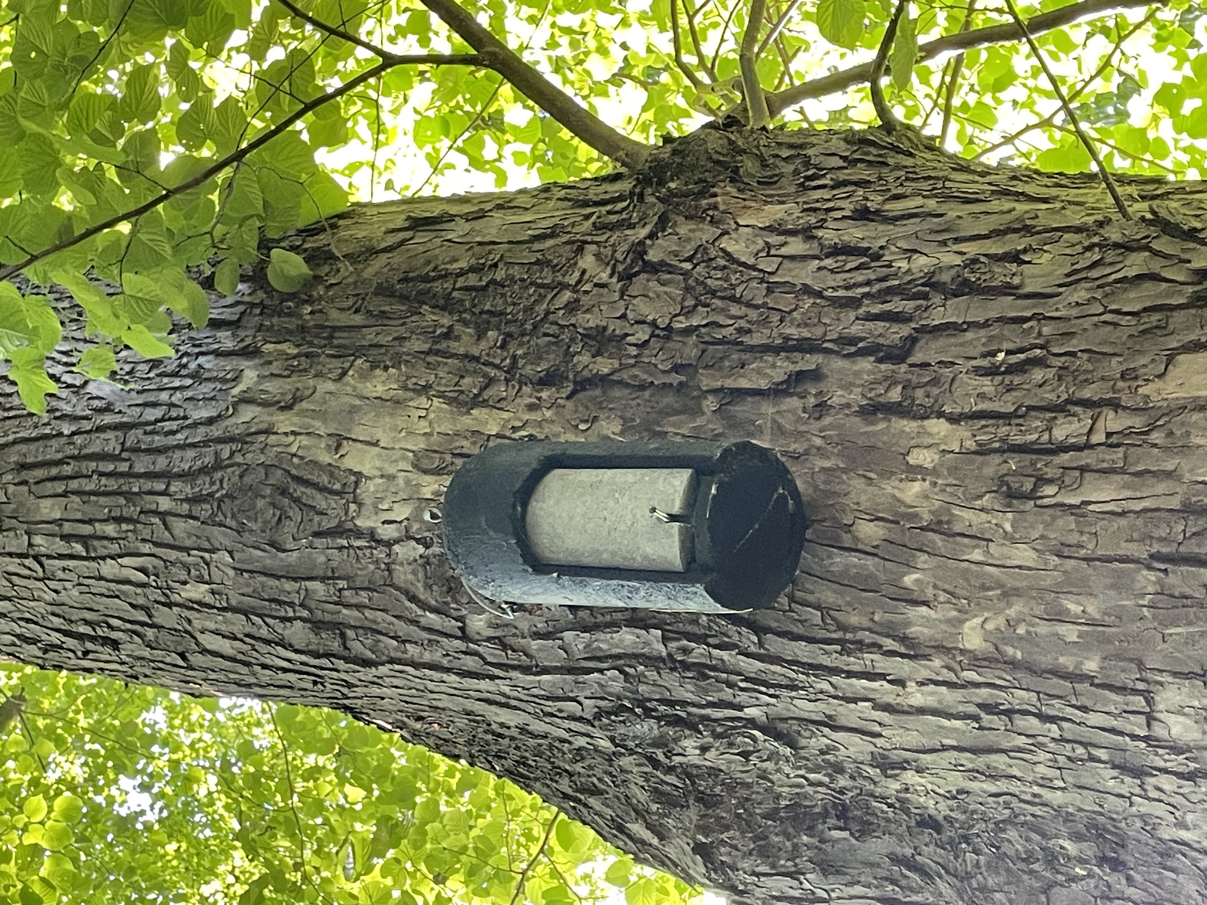 box_picture