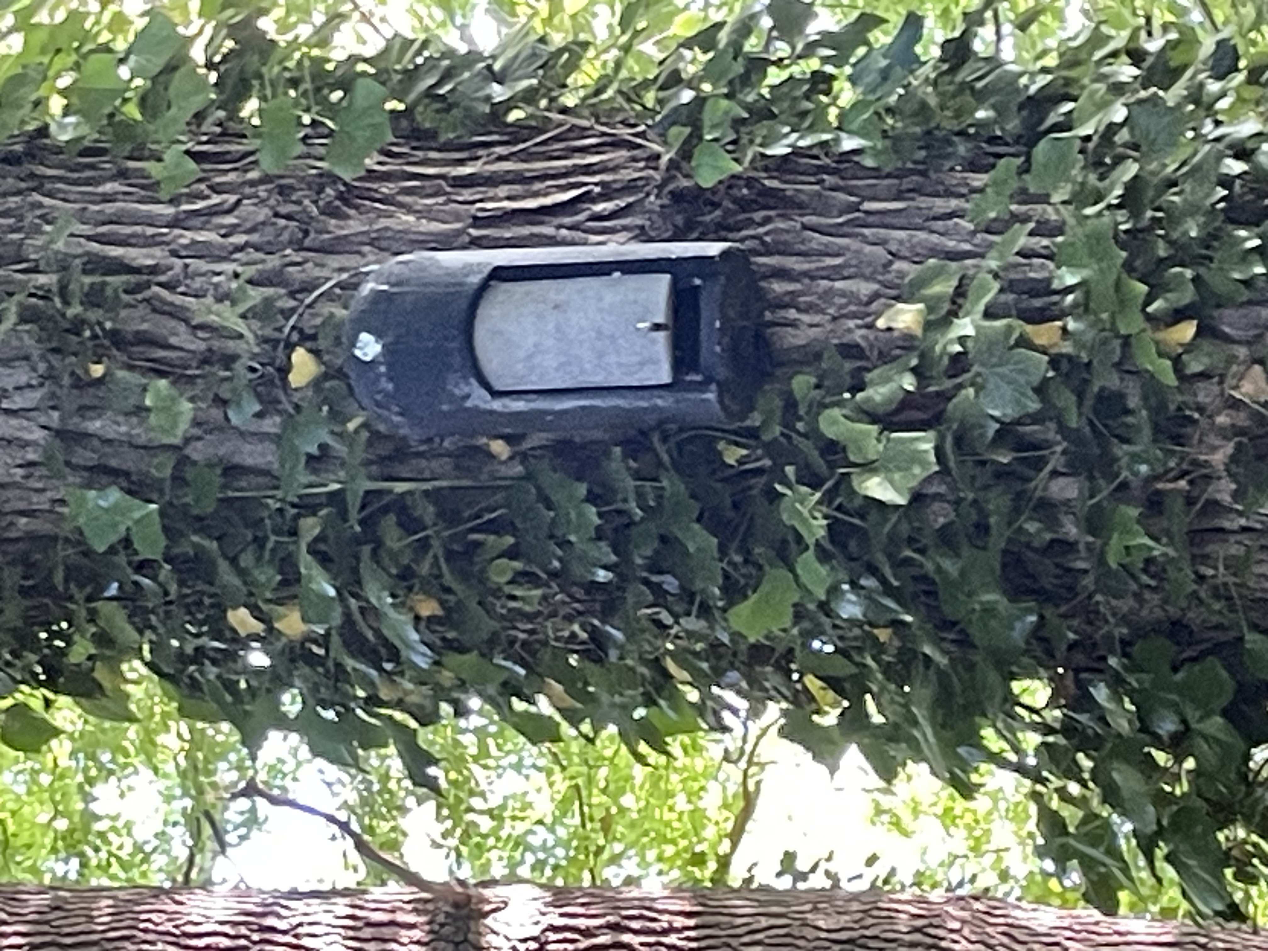 box_picture