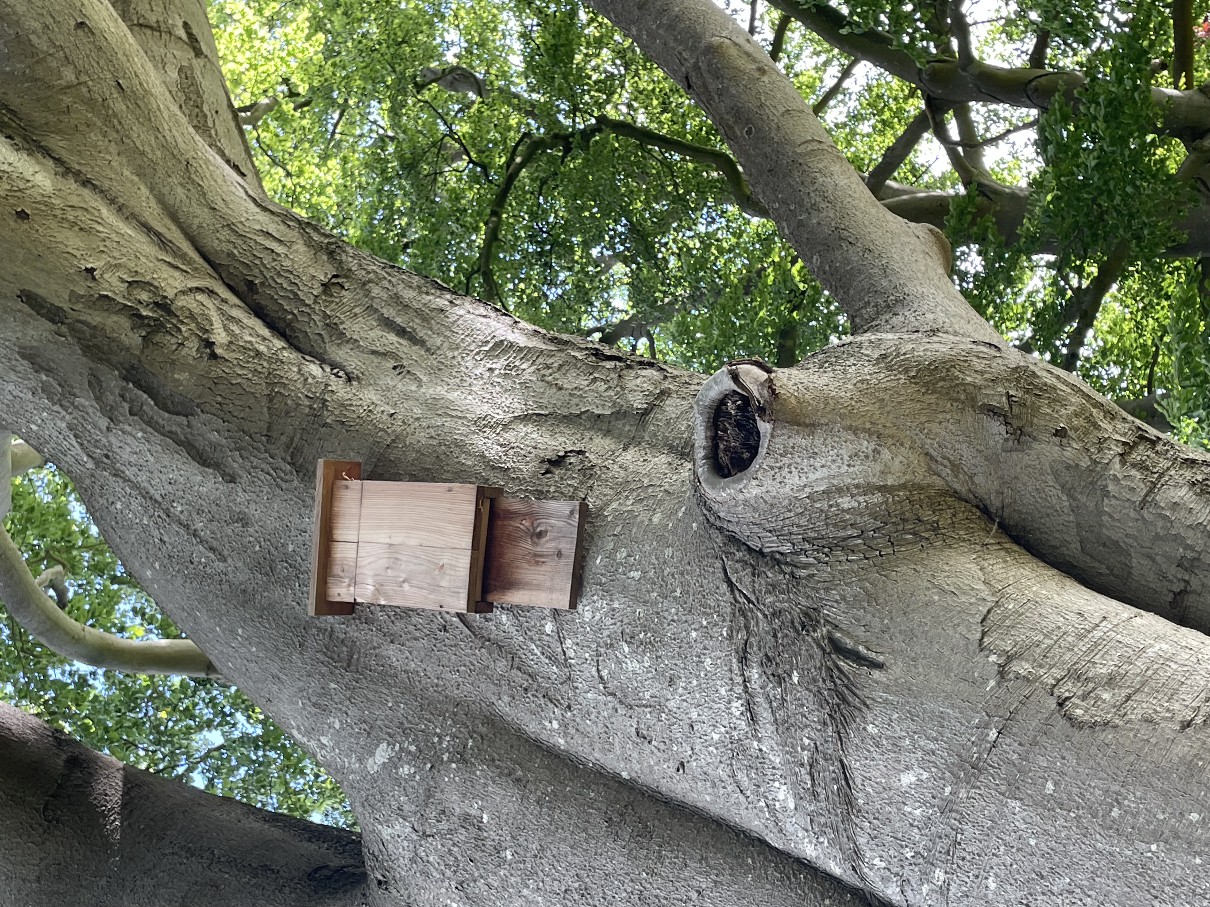 box_picture