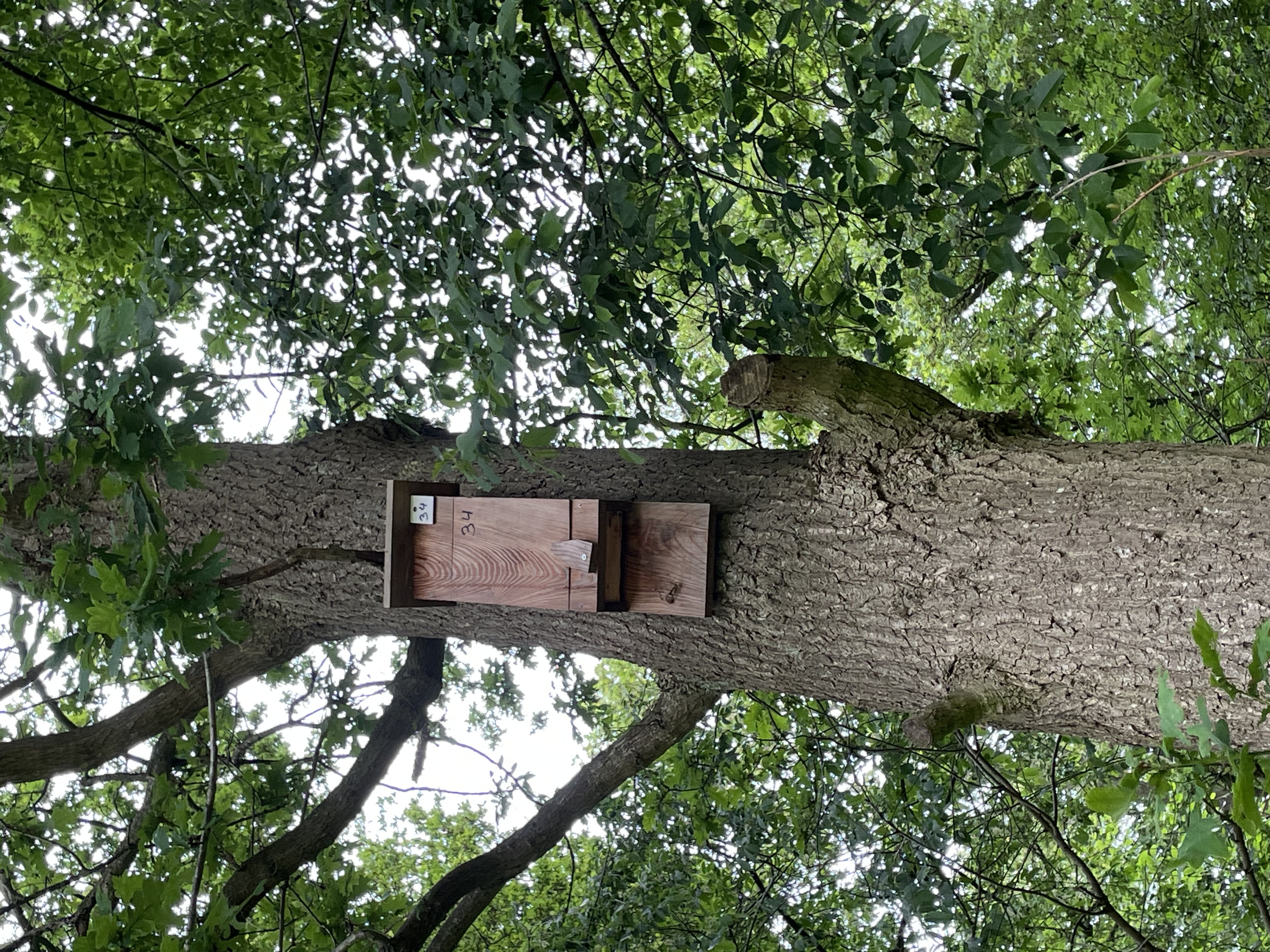 box_picture